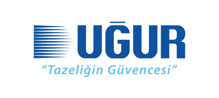 Logo 4